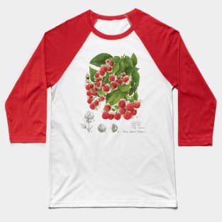 Crunch Berries Baseball T-Shirt